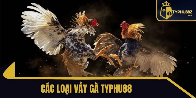các loại vảy gà typhu88