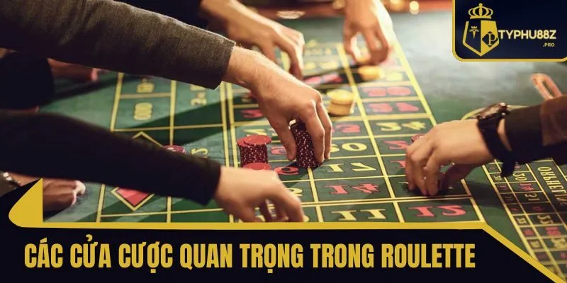 Cách Chơi Roulette typhu88