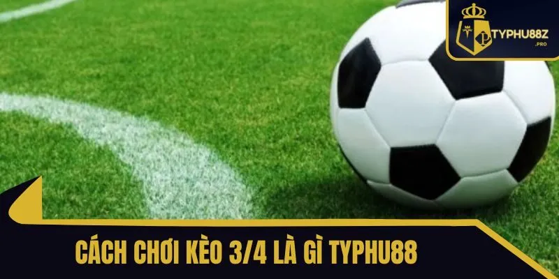 kèo 3/4 là gì typhu88