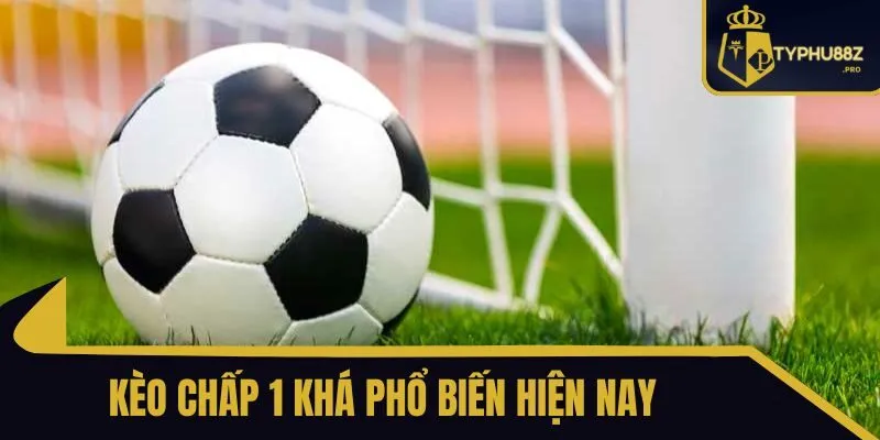kèo chấp 1 là gì typhu88