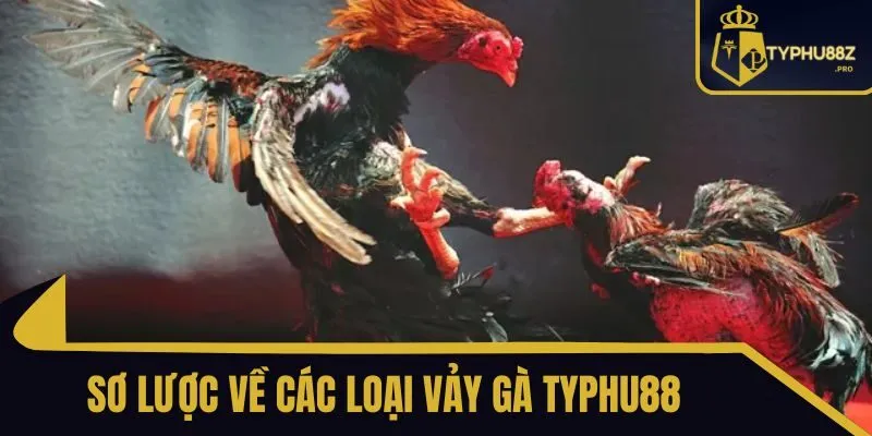 các loại vảy gà typhu88
